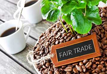 The Global Impact of Fair Trade Coffee on Local Communities