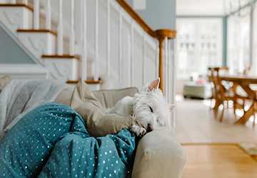 4 Effective Strategies for Dealing with Pet Allergies