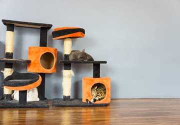 How to Build a DIY Cat Tree at Home